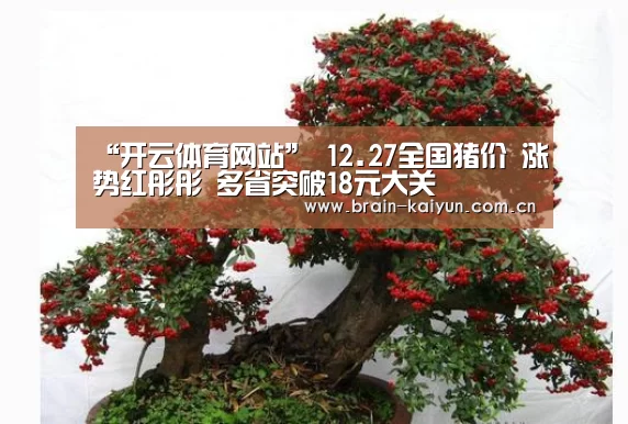 “开云体育网站”
12.27全国猪价 涨势红彤彤 多省突破18元大关(图1) 开元体育