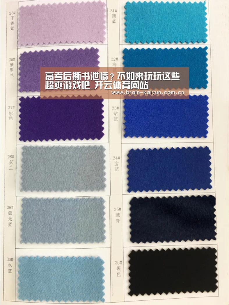开云体育网站