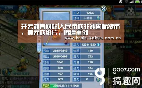 开云体育网站